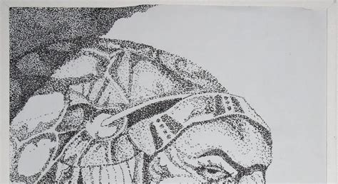Artist Creations The How To Stippling Pen And Ink Dots And Crosshatch