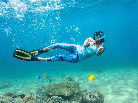 Sydney Snorkeling Learn To Snorkel Dive Safari And Best Places Nsw