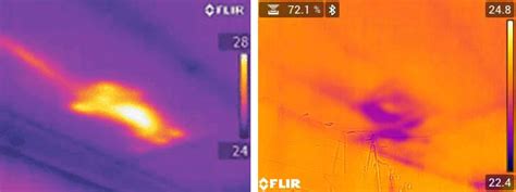 Traditional night vision scopes use a vacuum tube (aka image intensifier) which heightens low levels of ambient light to create distinguishable images, and renders them in. Detecting Pests with Thermal Imaging | FLIR Systems