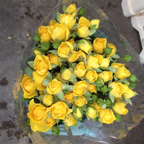 Yellow Spray Rose Called Marisa Sold In Bunches Of 10 Stems From The