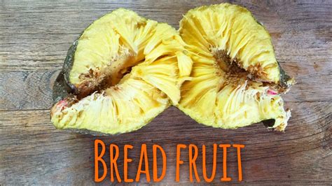 Breadfruithow To Eat It Rawuruulu Youtube