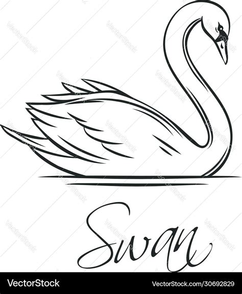 Swans Outline Icon Royalty Free Vector Image Vectorstock