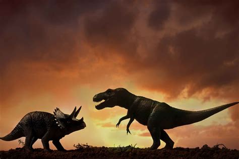 Dinosaurs Battle Triceratops Fight T Rex Carnotaurus And Spinosaurus The Best Porn Website