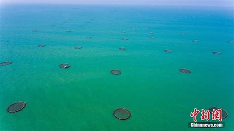 The Chinese Fish Farm Producing 24000 Tons Of Seafood A Year Cgtn