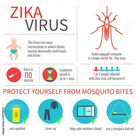 Zika Virus Infographic Elements Prevention Transmission Vaccine
