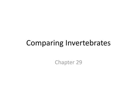 Comparing Invertebrates Ppt Download