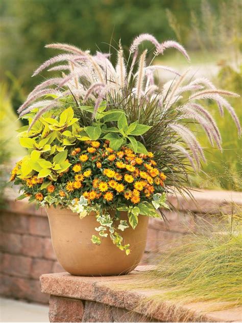 40 Best Fall Planter And Container Garden Ideas Hgtv Fall