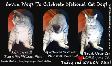 Cat Chat With Caren And Cody 7 Ways To Celebrate National Cat Day