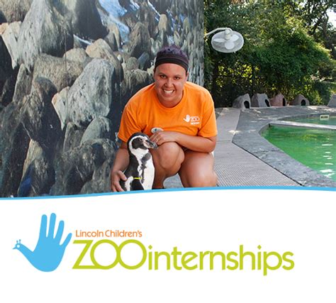 Lincoln Childrens Zoo About Zoo Internships