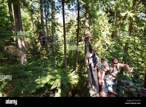 Capilano Park In North Vancouver British Columbia Canada Stock Photo