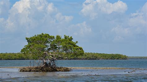 Ten Thousand Islands Wallpapers Wallpaper Cave