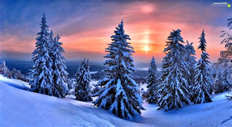 Great Sunsets Christmas Winter For Phone Wallpapers 1680x926