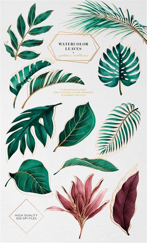 Tropical Watercolor Collection Flower Drawing Tropical Painting Leaf Drawing