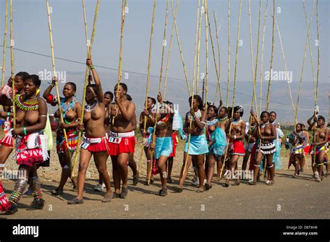 Zulu Maidens Deliver Reed Sticks To The King Zulu Reed Dance At Stock Photo Alamy
