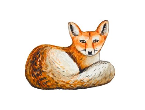 Premium Vector Hand Draw Fox Watercolor Illustration
