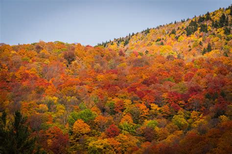 Fall Leaf Peeping In Vermont Jamie Bannon Photography Hartford