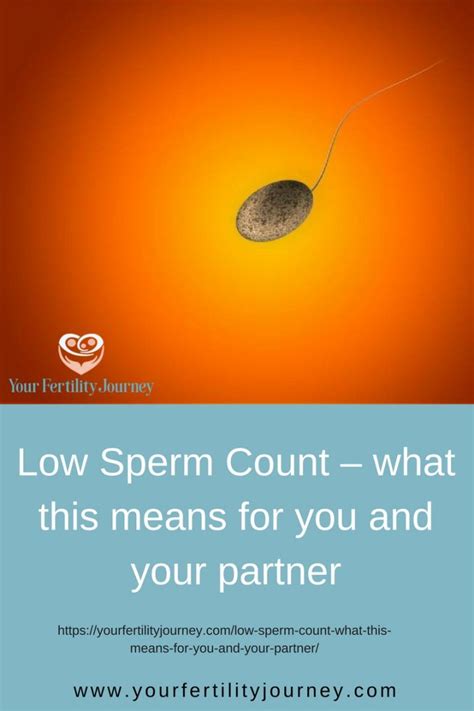 Low Sperm Count What This Means For You And Your Partner Your