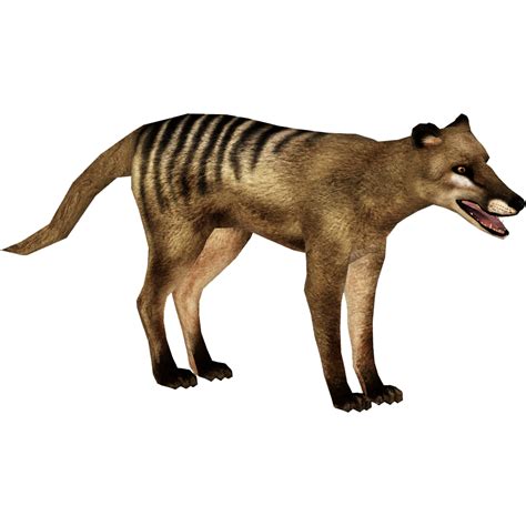 Thylacine Tyranachu Zt2 Download Library Wiki Fandom Powered By Wikia