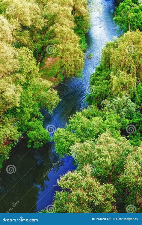 Forest River Stock Image Image Of Stream Scenery Deciduous 26020371