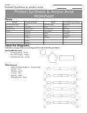 Use this model of a eukaryotic transcript to answer the following question. Transcription Translation Practice Worksheet.doc - Name ...