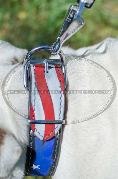Dog harness reflective adjustable no pull vest mesh padded for pit bull bulldog. American Pride leather dog collar for English Bulldog [C77 ...