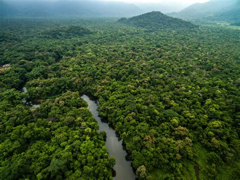 Panama Archives Rainforest Foundation Us