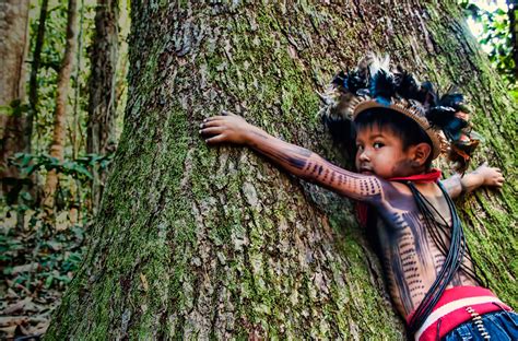 Pin Auf Brasilien Holzfäller Raus Aus Unserem Regenwald