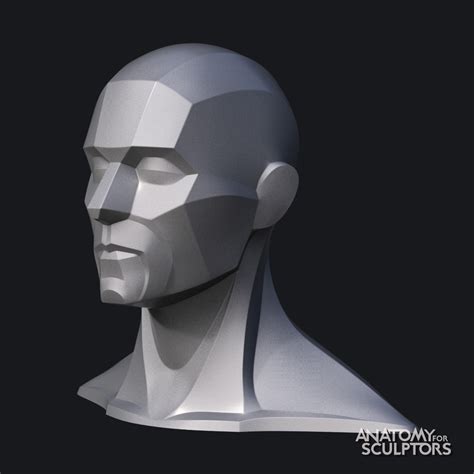 Artstation Male Head 3d Model Block Out Anatomy For Sculptors