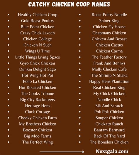 900 Cute And Funny Chicken Coop Names Updated