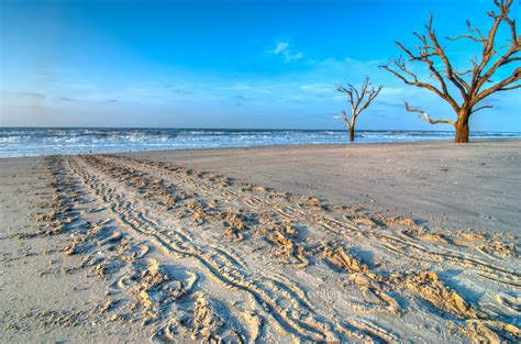 Welcome To Edisto Beach South Carolina Edisto Beach