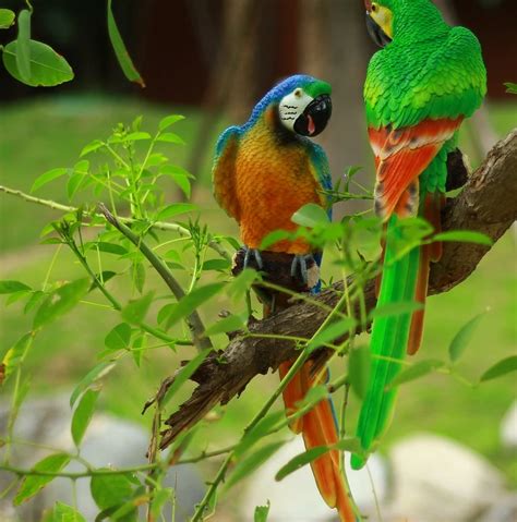 Simulation Resin Crafts Parrot Bird Animal Garden Ornaments Outdoor