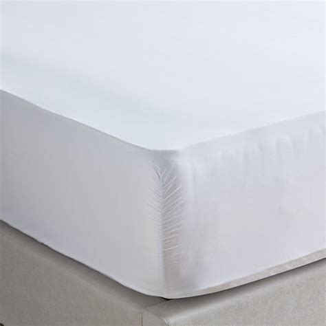 Shop Eternity Cotton Percale 325 Thread Count Queen Fitted Sheet