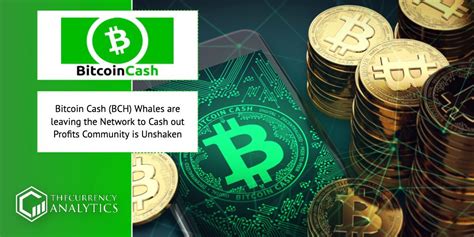 Cashing out 1m usd a day in bitcoin or more is not so hard. Bitcoin Cash (BCH) Whales are leaving the Network to Cash ...