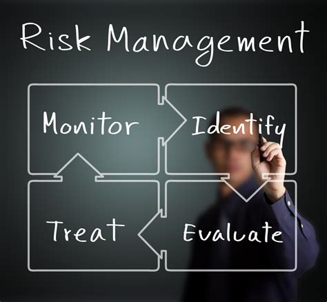 Manage Risks Riset