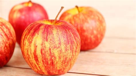 Archaeology Of Fruits And Vegetables Honeycrisp Apple Chefs Mandala