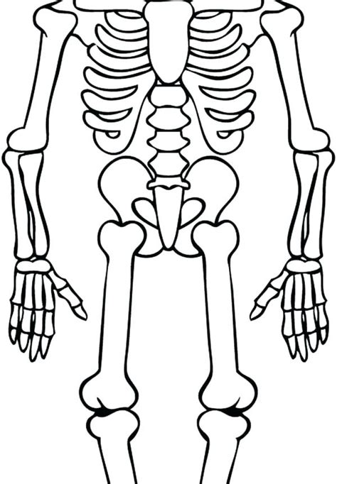 Skeleton Drawing For Kids Free Download On Clipartmag