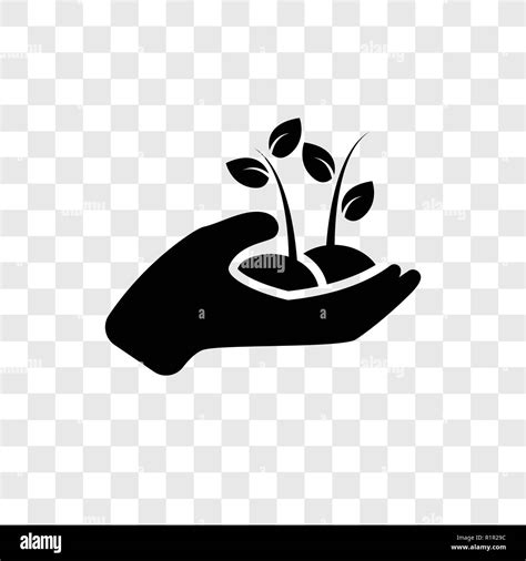 Plant A Tree Vector Icon Isolated On Transparent Background Plant A