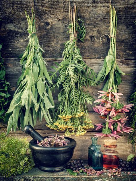 Healing herbs, herbal medicine. | High-Quality Health Stock Photos ...