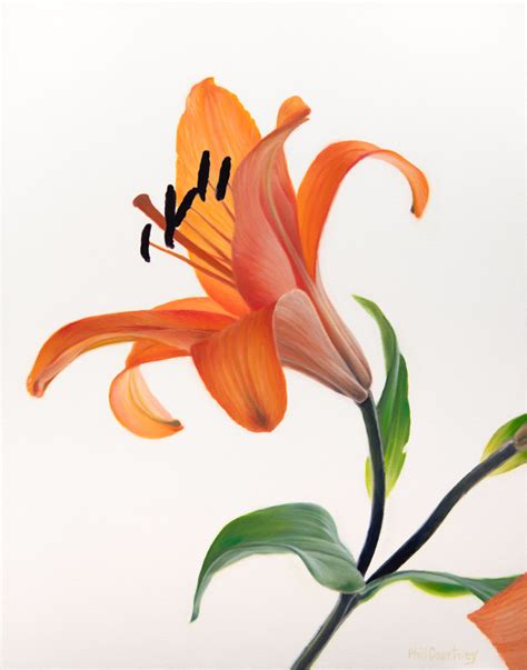 One Orange Lily