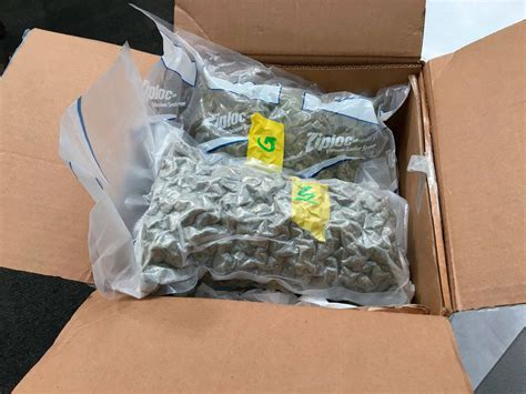 What to buy for 5 pounds. 2 pounds - WeedGiver