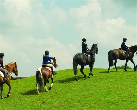 Equestrian Camp In The Uk Summer Horse Camps The Uk Campus 2021