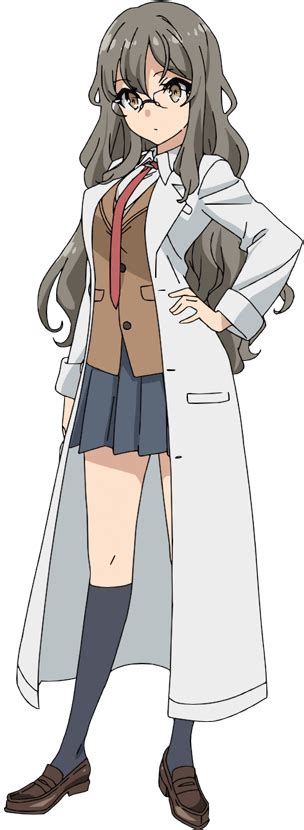 Rascal Does Not Dream Of Bunny Girl Senpai Characters Tv Tropes