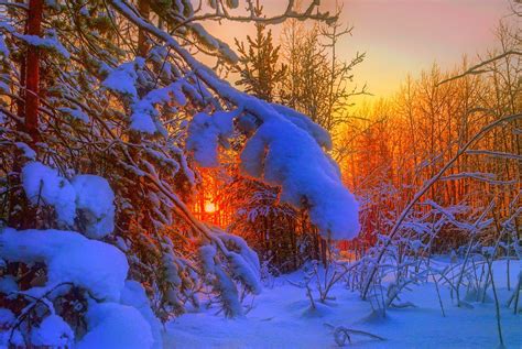 Evening Nature Stunning Winter Snow Landscape Trees Sunset Wallpaper