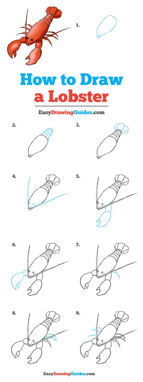 How To Draw A Lobster Really Easy Drawing Tutorial