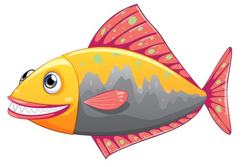A Colorful Big Fish 520742 Vector Art At Vecteezy