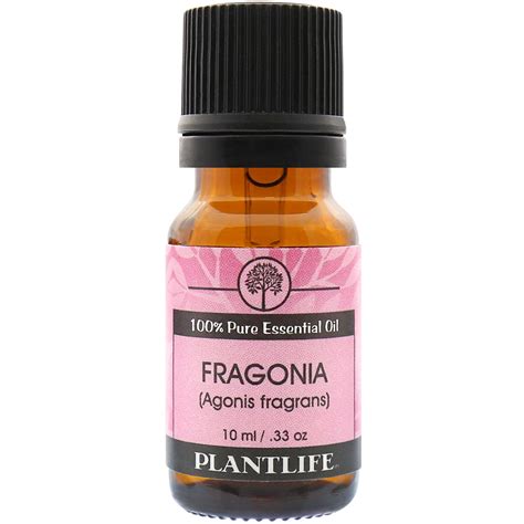Fragonia Essential Oil Agonis Fragrans Essential Oil Plantlife