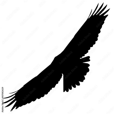 Peregrine Falcon Silhouette Vector Graphics Stock Vector Adobe Stock