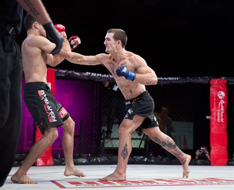 tiger muay thai and mma promotes professional mma fight in thailand tiger muay thai and mma