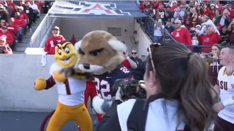 Mascots Have Fist Fight During Arizona Arizona State Game Knbr
