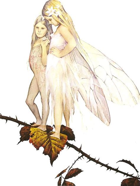 Brian Froud Brian Froud Faeries Fairy Art